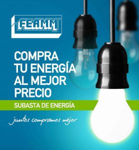 ENERGIA FEAMM